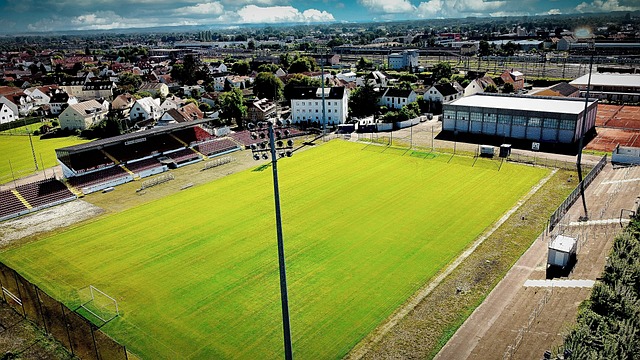 一个热爱运 一个热爱运