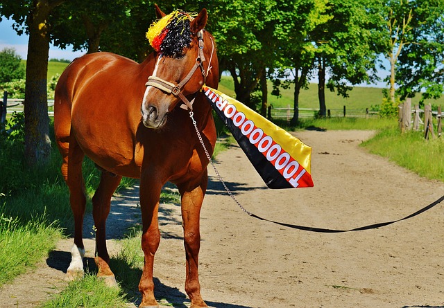 情况也被形 情况也被形